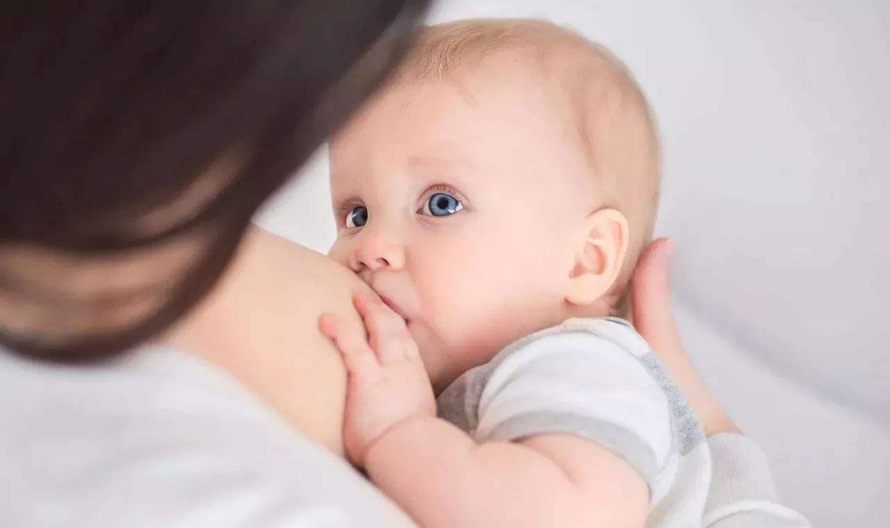 91免费黄片软件下载之母乳喂养的科学性体现在哪些