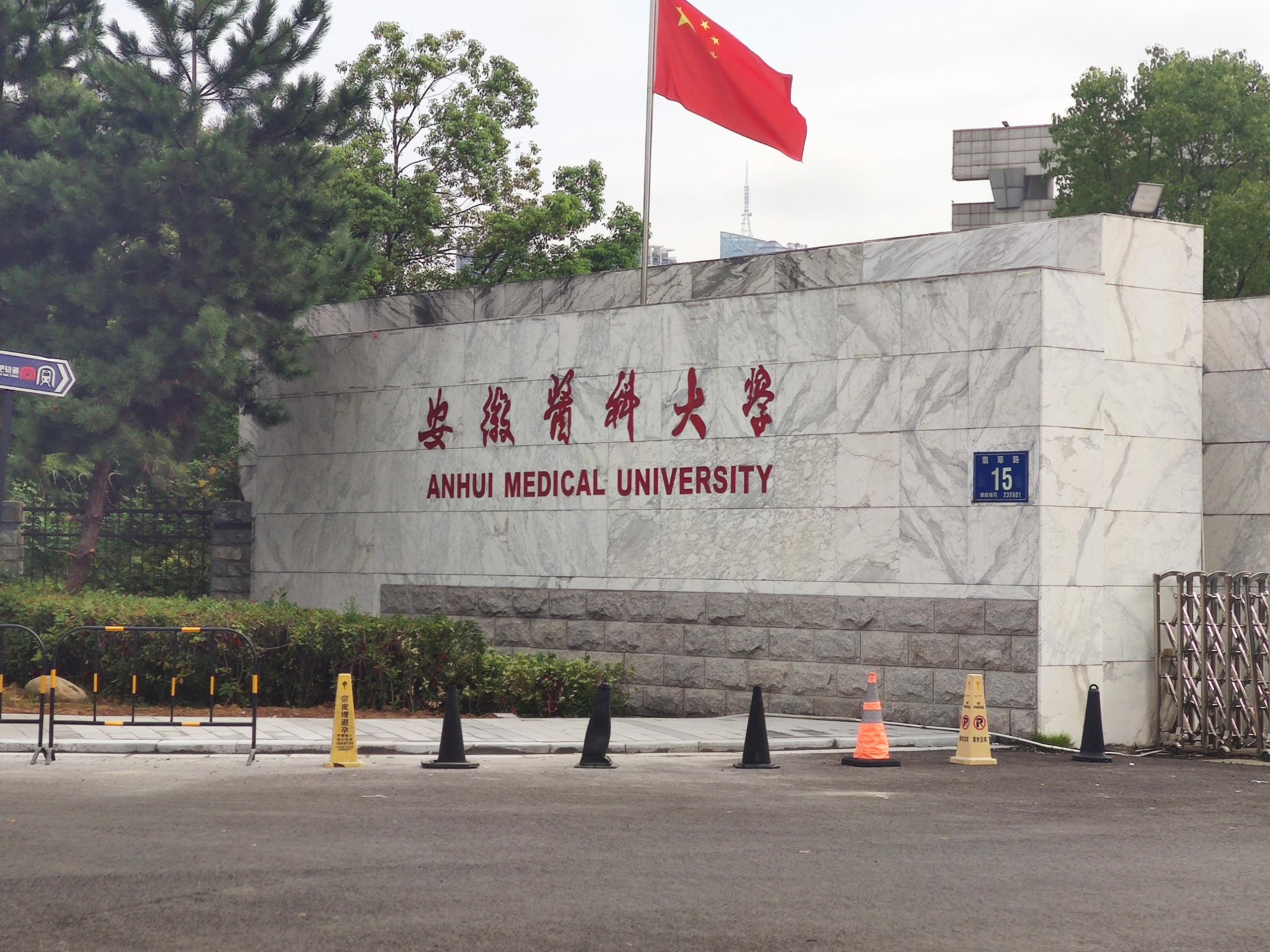 ​安徽医科大学引进新技术：91免费看视频，科学助力母乳喂养！