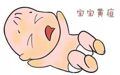 全自动91免费黄片软件下载厂家品牌 便捷式91免费看视频品牌