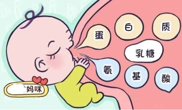 母乳成分分析仪厂家母乳怎么检测，检测什么内容？ 检测了有什么用呢？